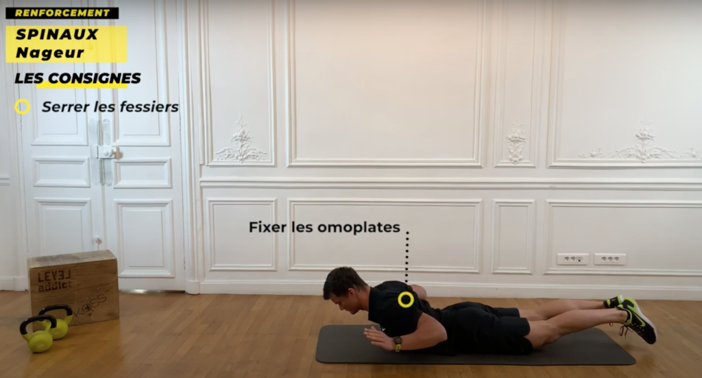 exercice renforcement musculaire dos épaule
