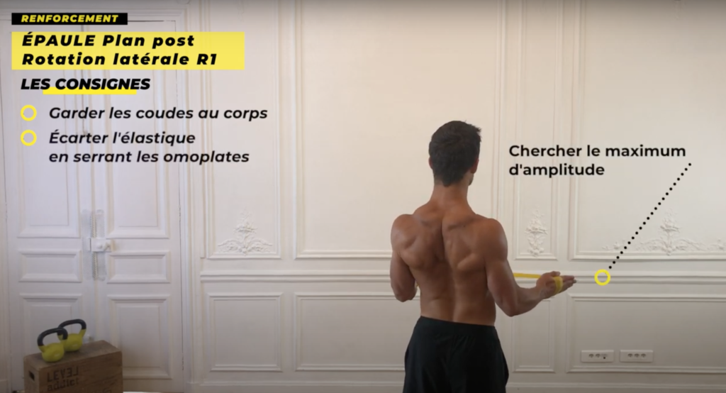 exercice renforcement musculaire plan postérieur coiffe rotateur