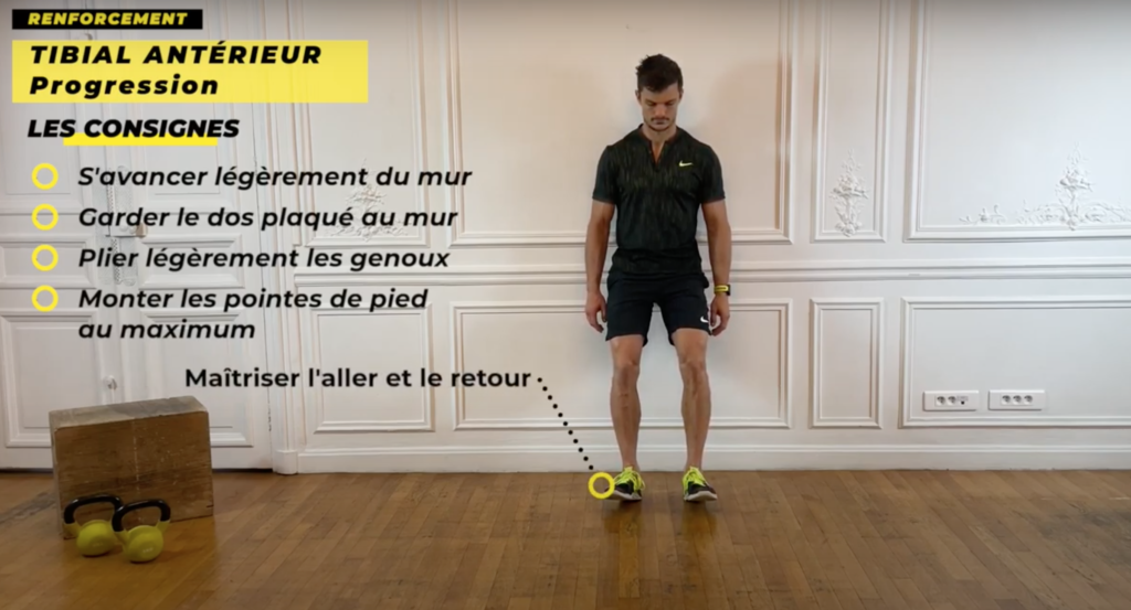 exercice de renforcement musculaire du tibial antérieur jambe