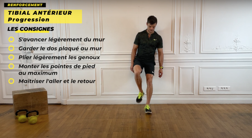 exercice de renforcement musculaire du muscle tibial antérieur