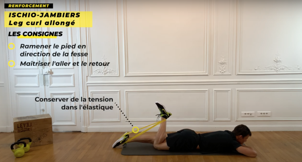 renforcement ischio-jambiers sur le ventre
