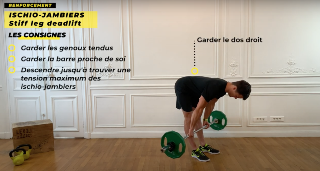 renforcement musculaire des ischions-jambiers en charge